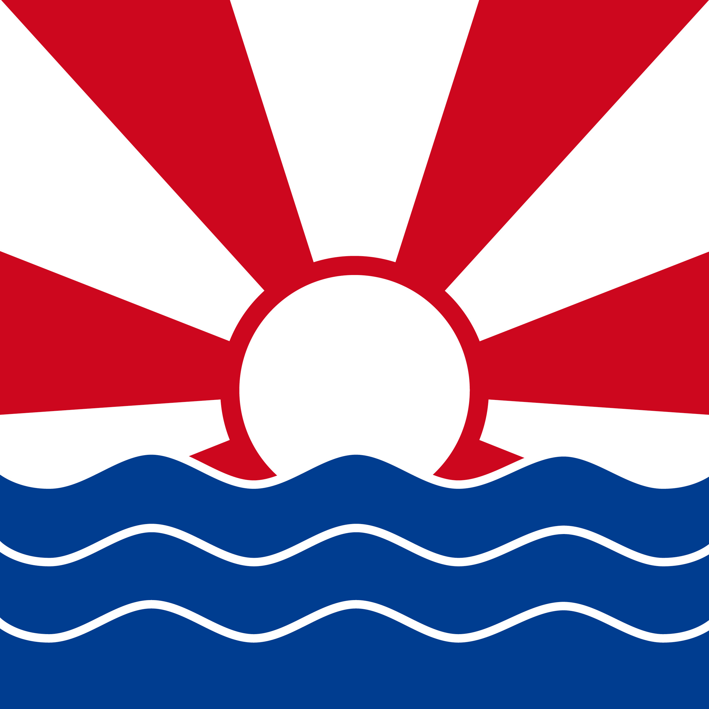chliBASEL flagge